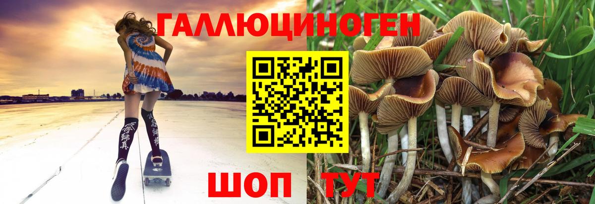 Галлюциногенные грибы Psilocybine cubensis  Вход с VPN  Ступино 